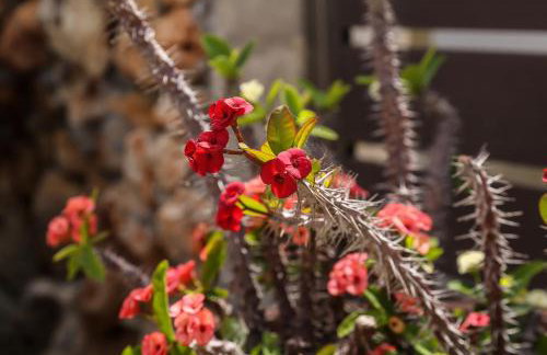 Heaven Apartments - Foto 42