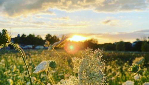 Ferienhaus CASA OASIS - Foto 5