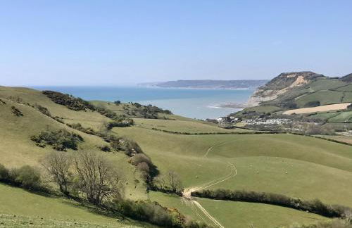 The Billy Shed - Photo 23