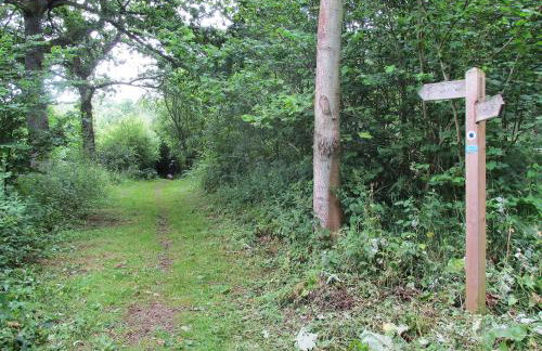 Lapwing Cottage - Foto 13