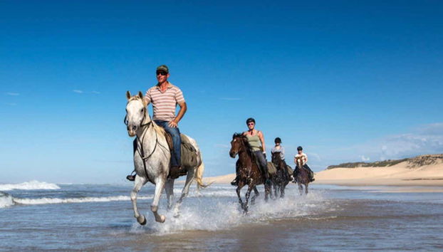 Beach Horse Ride - Foto 4