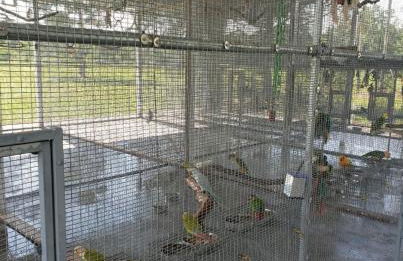 The Sunflower Studio Cottage - Foto 29