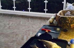 NEW! Romantic house at red lake in Torrevieja! - Foto 19