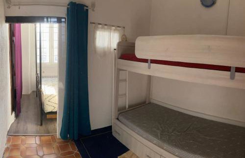 Chez Sigmund et Skywalker - Photo 3