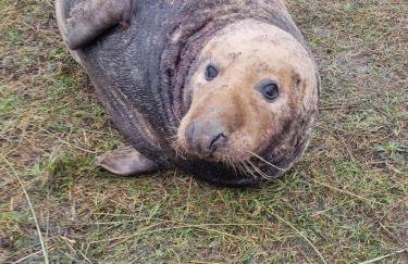 Pond View - Cottage with beautiful views - Dogs welcome by request - Foto 31