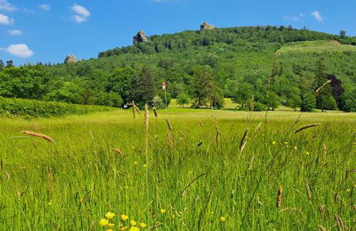 Ferienwohnung Sauerland Feeling - Foto 6