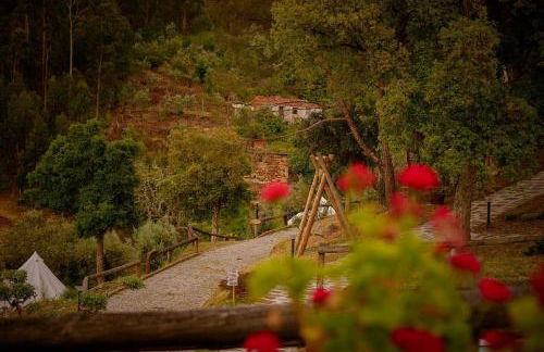 Arrabia Bunga Payva - Foto 28