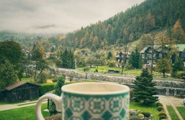 Moje Pieniny Apartament - Photo 47