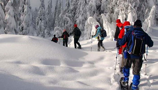 Snowshoeing in Rovaniemi