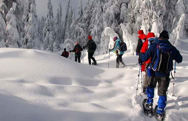 Snowshoeing & Ice Fishing - Photo 2