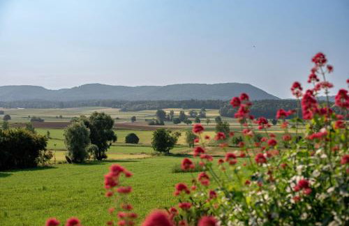 Ferienwohnungen Klettgaublick - Foto 6