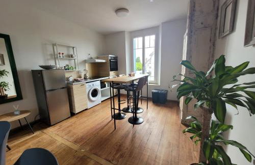 Appartements de Diane - JOIGNY - Foto 17