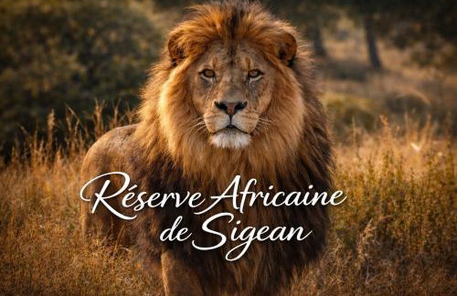 à 5mn de la réserve Africaine, charmante maison de village avec patio - Foto 14