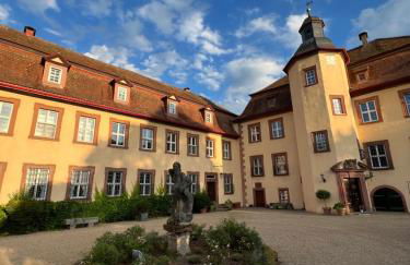 Private apartment in historic castle from 1608 with tenniscourt - Foto 35