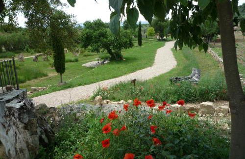 Hort de L'Aubert - Foto 40