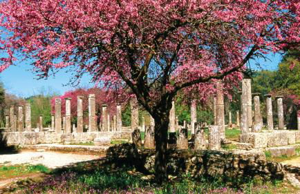 Villa Serenis - Photo 54