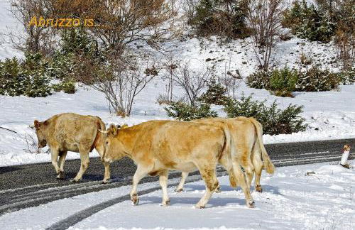 Characteristic restored farmhouse with 360 degree views - Photo 70