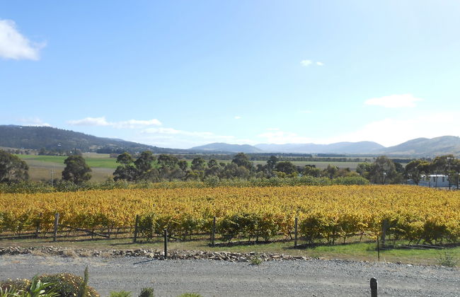 Riversdale Estate Cottages - Foto 31