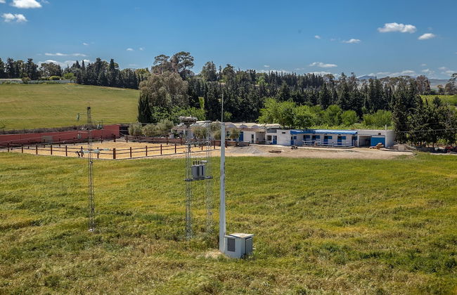 Dar Ichkeul - Foto 35