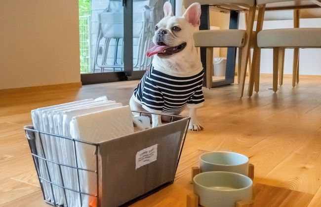 Rakuten STAY VILLA Aso Kurokawa - Foto 37