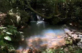 Cabana do Lago- Morro da Borússia - Foto 50