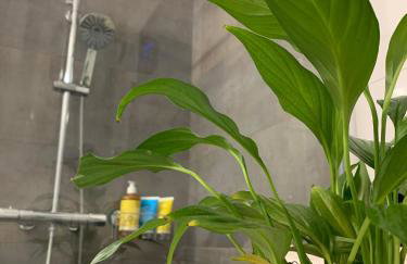 Split apartment - 5 min by car to the beach & city center - free public parking - Foto 25