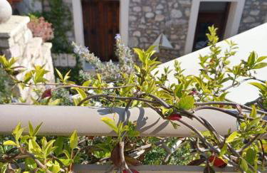 1571_ SUITES A2 - Foto 29