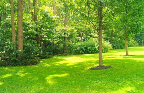 Riverfront Cabin Rental with a Private Beach on Youghiogheny River near Pittsburgh, Pennsylvania - Foto 15