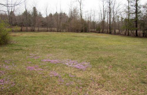 1894 Catskills Farmhouse Retreat - Foto 29