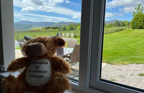 Drumhead Cottage Finzean, Banchory Aberdeenshire Self Catering with Hot Tub - Foto 24