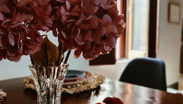 Rachel's House - Foto 2