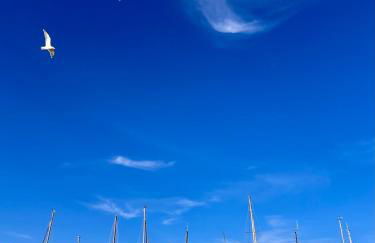 Lobster im Nauticum - Foto 20