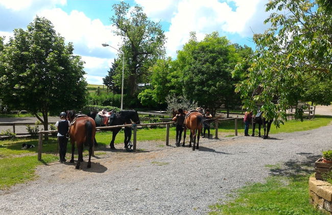 Agriturismo San Filippo - Foto 7