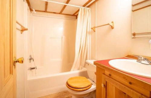 The Weminuche Cabin #80 at Blue Spruce RV Park & Cabins - Foto 8