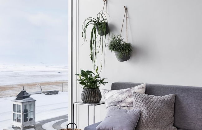 Brekkukot Luxury Farmhouse - Foto 31