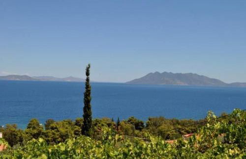 Villa Krassi - Foto 10