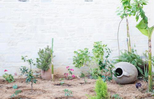 Villa Cardia - Photo 21