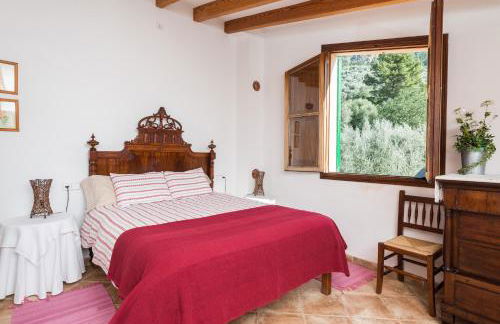 S'Olivaret - Foto 16