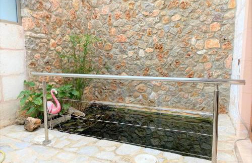 Ideal Property Mallorca - Cal Tio - Foto 45