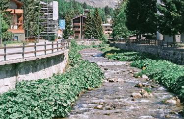Appartamento La Primula - Photo 34