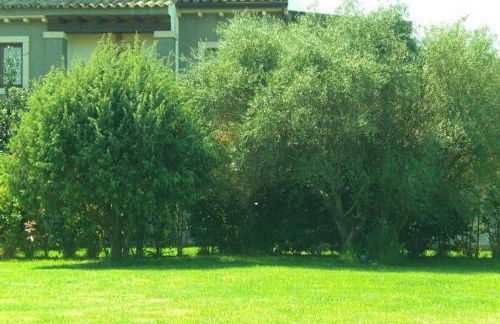 Villa Raffaello - Photo 21