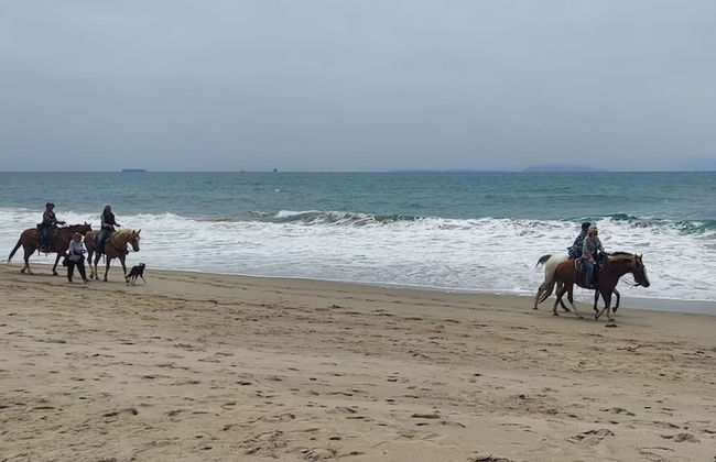 Mandalay Shores Resort - Foto 20