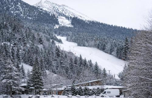 Studio cosy 4 pers - Pied des pistes - Corrençon - Foto 8