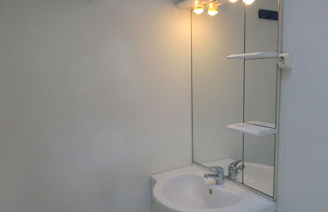 Roses Tremières - Foto 11