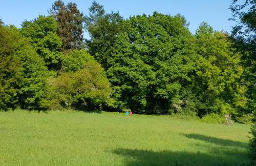 Gästehaus Cube am Forsthaus - Foto 19