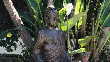 Villa Vainilla - Photo 5, Garden view