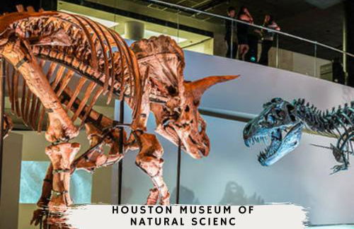 Midtown Urban Retreat 2story 1BD Apartment - Foto 24