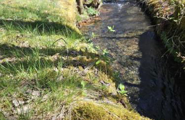 Le fournil à Mïette - Foto 43