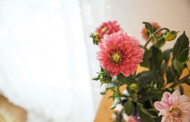 Ferienhaus Dornstetten - Foto 40