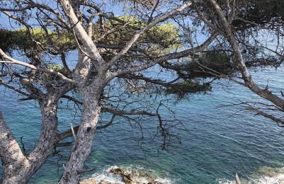 Confort à Carqueiranne - Foto 30